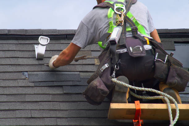 Best Roof Gutter Cleaning  in Burlington, KY
